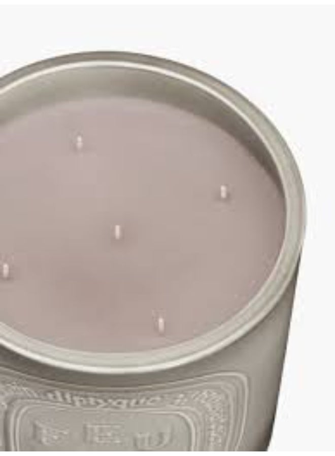 Diptyque Feu de Bois Large Scented Candle  1500G - Image 3